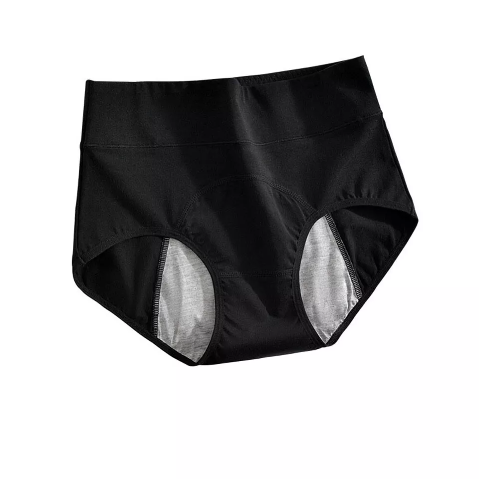 SecureFit Period Panty