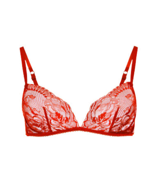 Elegance Net Bra