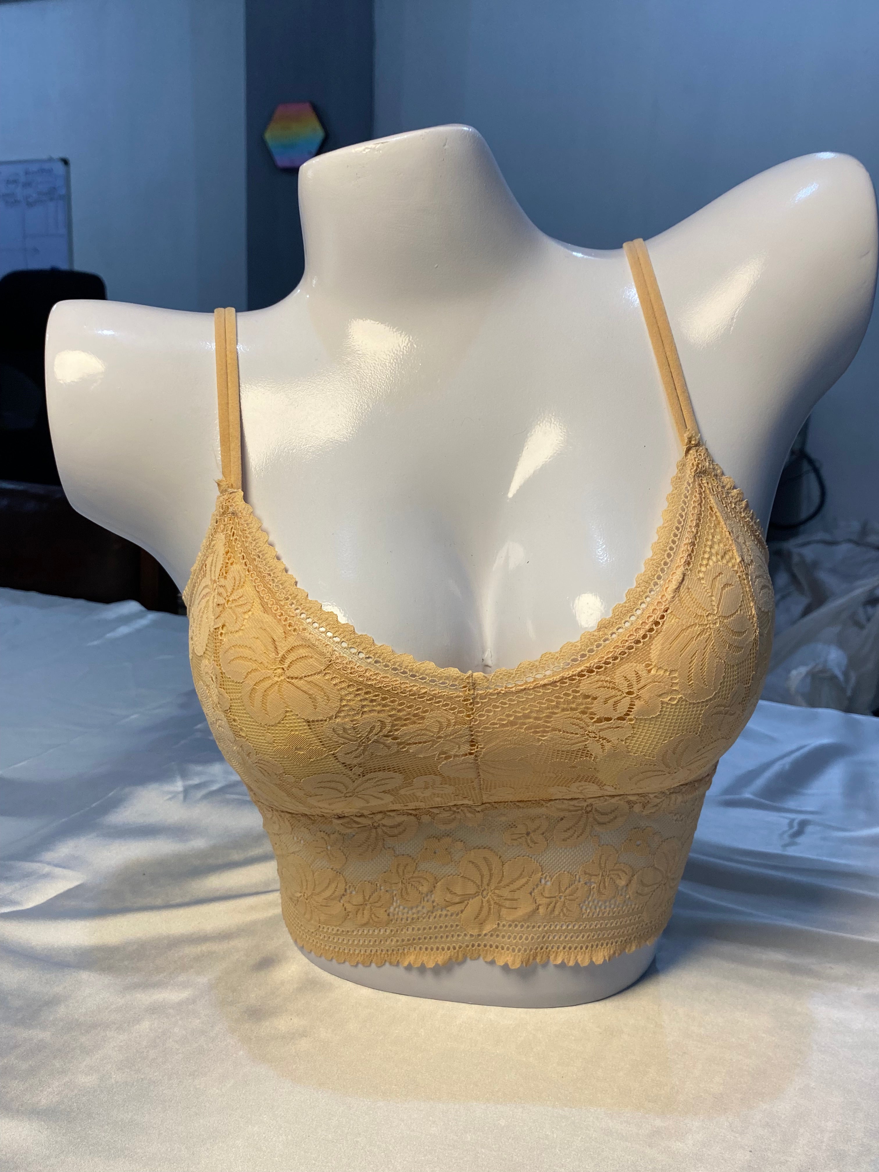 Premium Blouse Collection