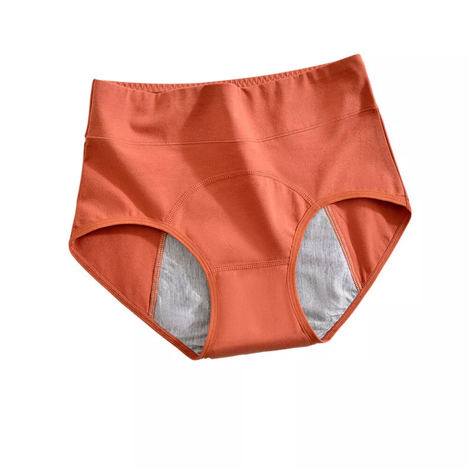 SecureFit Period Panty